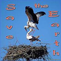 save-the-earth-travelmapitaly.com